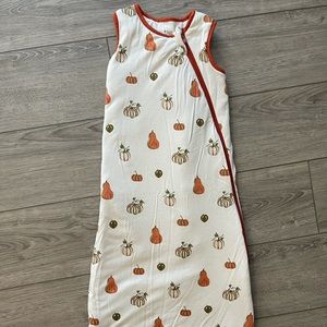 Kyte Baby 2.5 tog Fall Harvest sleep bag. 6-18mos.